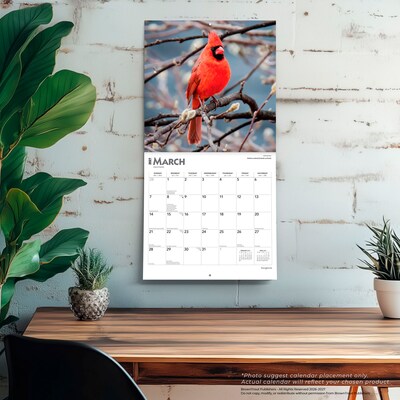 2027 BrownTrout Songbirds 12" x 12" Monthly Wall Calendar (9798330712113)