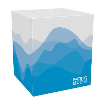 Pacific Blue Select Facial Tissue, 2-ply, 100 Tissues/Box, 36 Boxes/Pack (46200)
