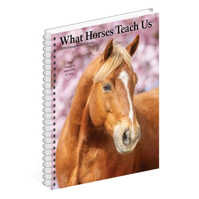 2026 Willow Creek What Horses Teach Us 6.5" x 8.5" Daily & Monthly Personal Organizer (54697)