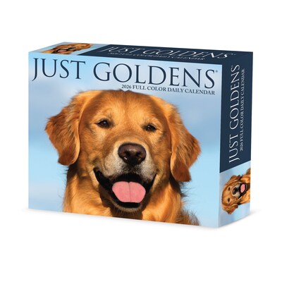2026 Willow Creek Goldens 6.2" x 5.4" Day-to-Day Calendar (54192)