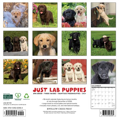 2027 Willow Creek Lab Puppies 12 x 12 Monthly Wall Calendar (60964)