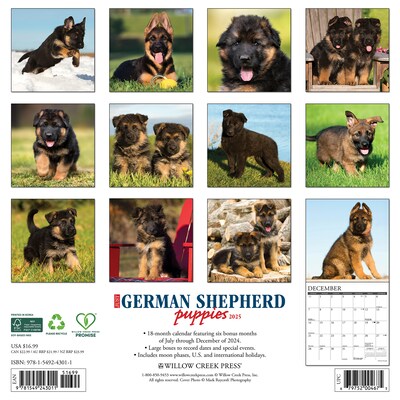 2025 Willow Creek Just German Shepherd Puppies 12 x 12 Monthly Wall Calendar (43011)