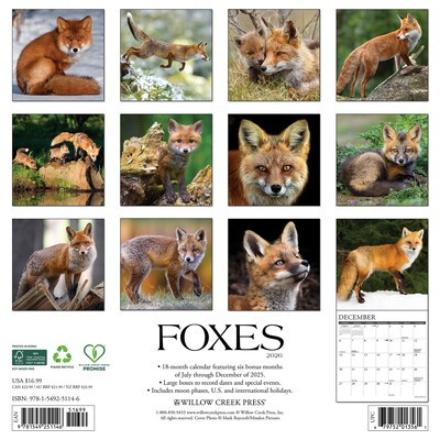 2026 Willow Creek Foxes 12 x 12 Monthly Wall Calendar (51146)
