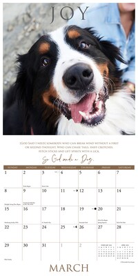 2026 Willow Creek So God Made a Dog 12" x 12" Monthly Wall Calendar (52860)