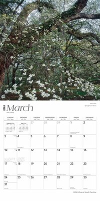 2024 BrownTrout South Carolina Wild & Scenic 12" x 24" Monthly Wall Calendar (9781975465131)