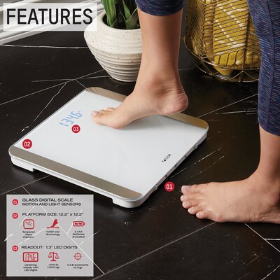 Taylor Precision Products TAP5283426 Digital Scale, White, 440lbs. Capacity