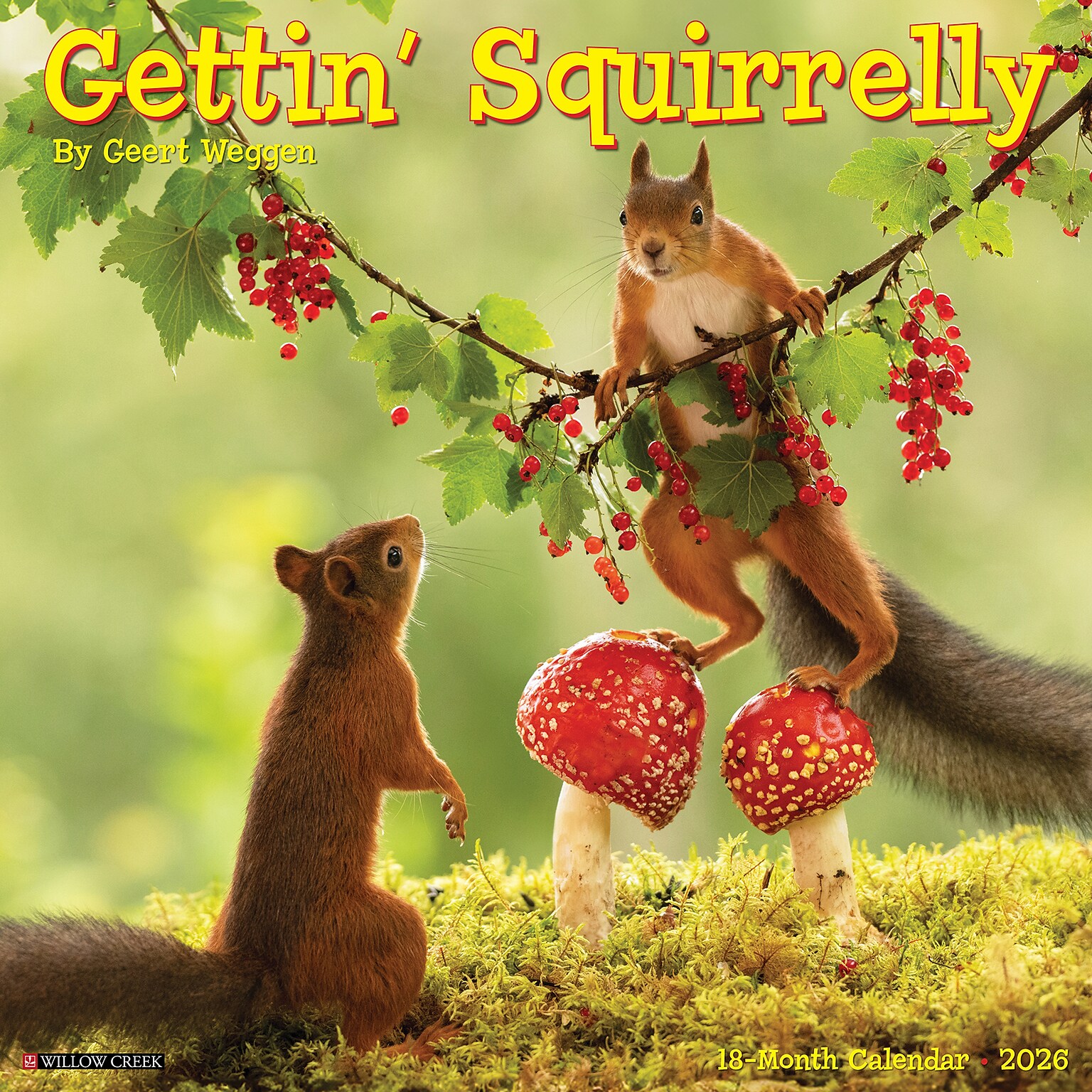 2026 Willow Creek Gettin Squirrelly 12 x 12 Monthly Wall Calendar (51252X)