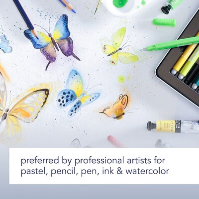 Canson Artist Series Mixed Media Sheet Bulk Pack, 24" x 18", White, 100 Sheets/Box (MCXC100516252)