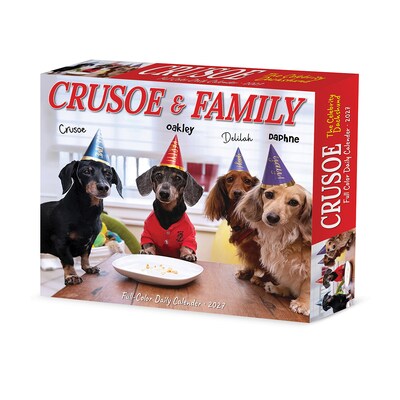 2027 Willow Creek Crusoe the Celebrity Dachshund 6.2 x 5.4 Daily Day-to-Day Calendar, Assorted Colors (63378)
