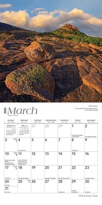 2024 BrownTrout Texas Wild & Scenic 7" x 14" Monthly Wall Calendar (9781975465339)