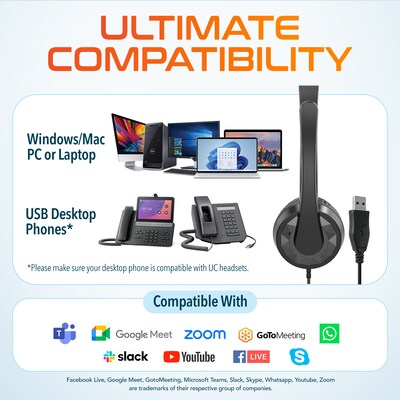 Delton 12Y Stereo On-Ear Computer Headset, USB Type-A (DWH12Y)