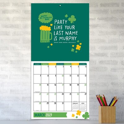 2027 TF Publishing Amy Smyth Humor 11" x 12" Monthly Wall Calendar, Multicolored (27-1127)