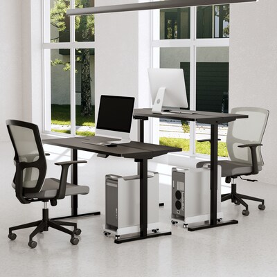 FlexiSpot ET155E 55"W Electric Rectangular Adjustable Standing Desk, Black