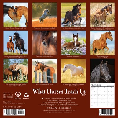 2027 Willow Creek 12 x 12 Monthly Wall Calendar, Assorted Colors (62920)