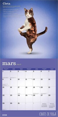 2026 BrownTrout Chats de Yoga OFFICIEL 12" x 12" Monthly Wall Calendar (9798330707348)