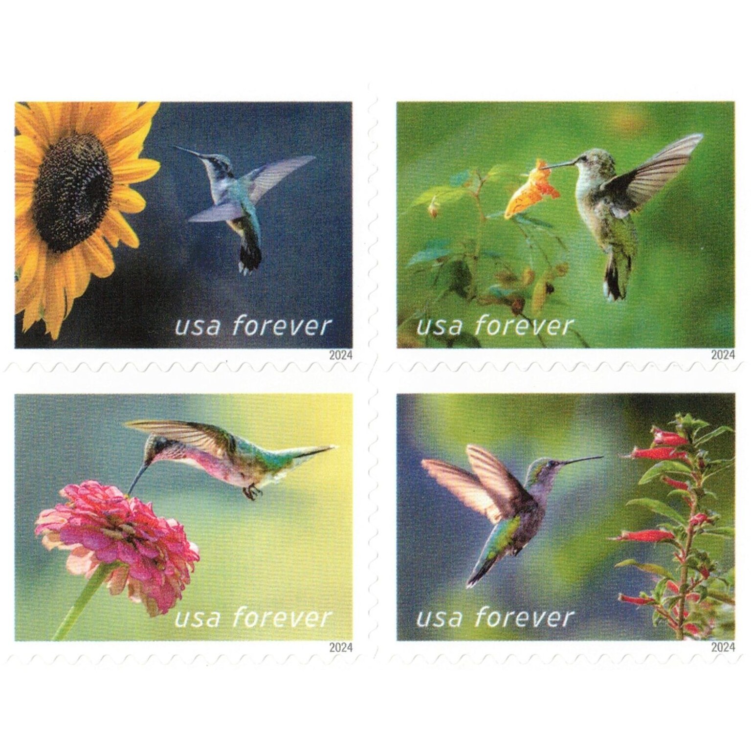 USPS Garden Delights Forever 20 Postage Stamps (FOR-GARDENDE-20)