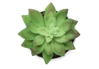 Monarch Specialties Inc. 6" Artificial Succulent Plant in Pot, 3/Set (I 9555)