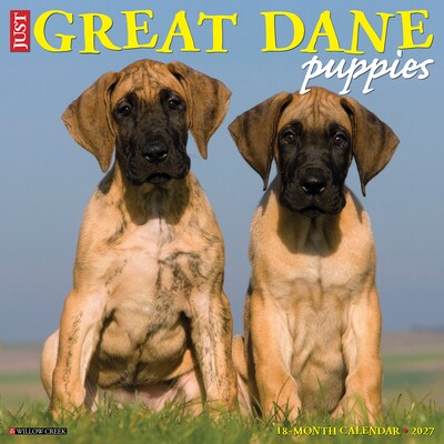 2027 Willow Creek Great Dane Puppies  12 x 12 Monthly Wall Calendar (60520)