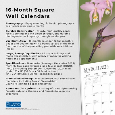 2025 Plato Hummingbirds 12" x 12" Monthly Wall Calendar (9781975479015)