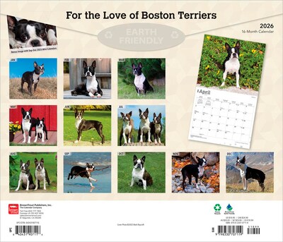 2026 BrownTrout For the Love of Boston Terriers 14 x 12 Monthly Wall Calendar (9798330707119)