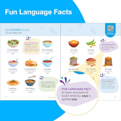 Rosetta Stone Paperback Spanish Picture Dictionary Resource Book (201148)