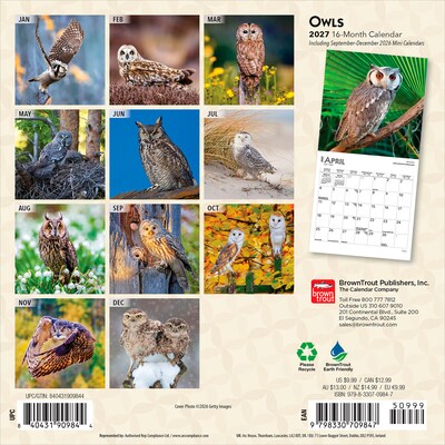2027 BrownTrout Owls 7 x 7 Monthly Wall Calendar (9798330709847)