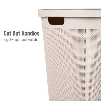 Mind Reader 15.85-Gallon Hamper with Lid, Plastic, Ivory (60FABHAMP-IVO)