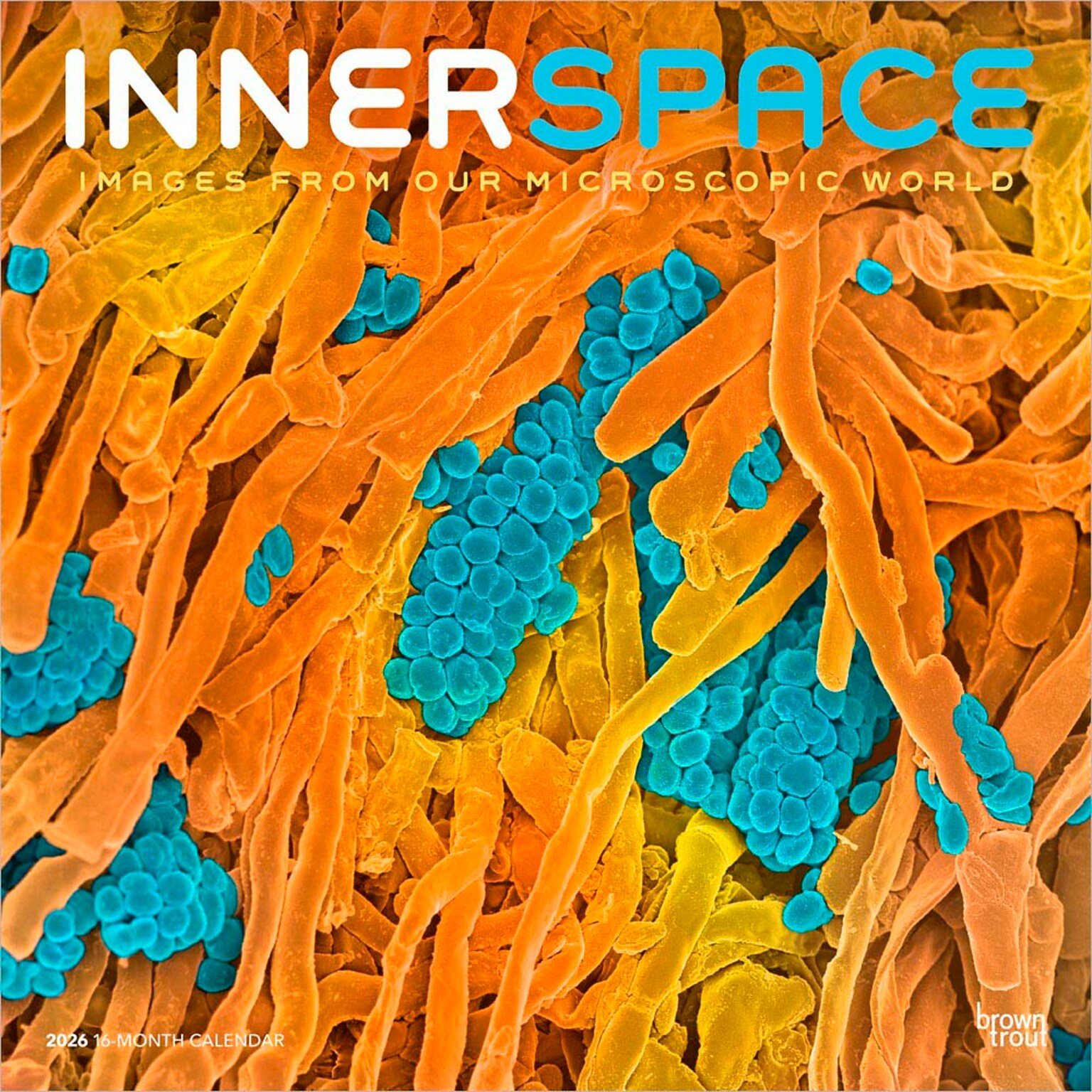 2026 BrownTrout Microscopic World of Innerspace 12 x 12 Monthly Wall Calendar (9798330703883)