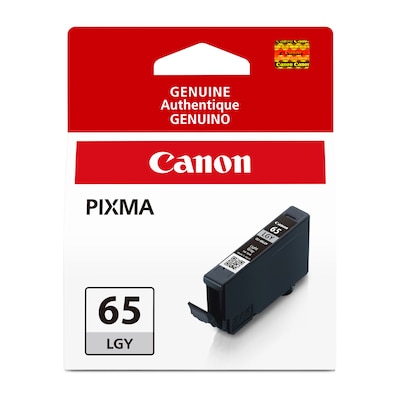 Canon 65 LGY Light Gray Standard Yield Ink Cartridge (4222C002)