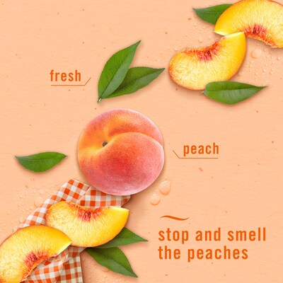 Febreze Plug In Oil Warmer Refill, Juicy Summer Peaches Scent, 0.87 oz., 2/Pack (21135)