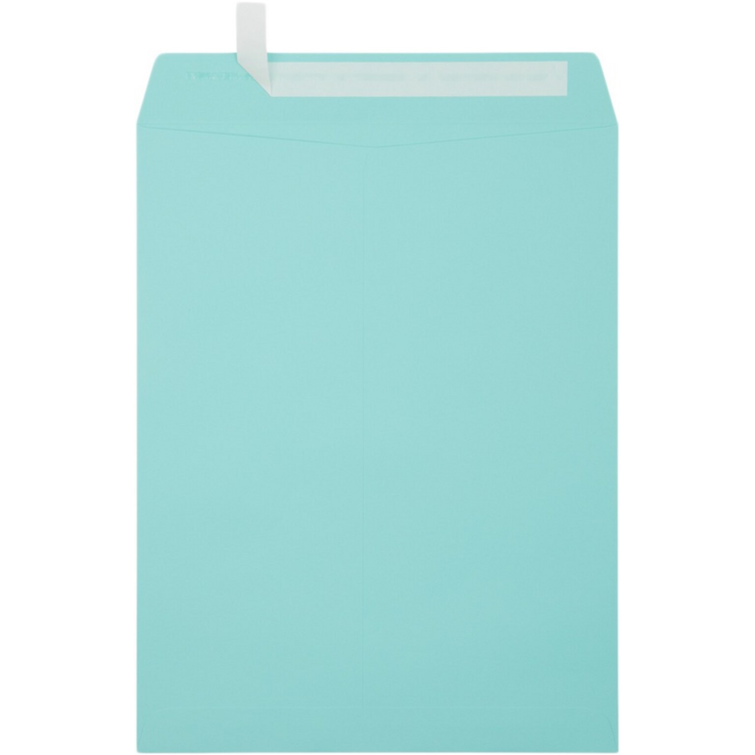 JAM Paper Self Seal Catalog Envelope, 10 x 13, Blue, 25/Pack (31287539)