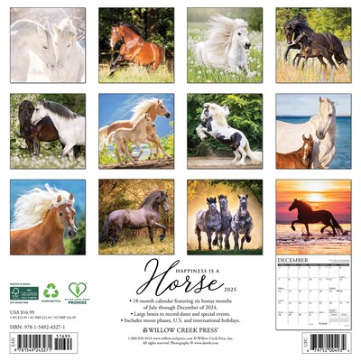 2025 Willow Creek Happiness is a Horse 12 x 12 Monthly Wall Calendar (43271)