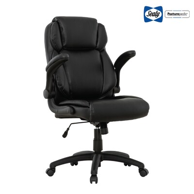 Sealy Posturepedic Hudson Ergonomic Swivel Office Chair, Black (64627)