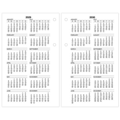 2026 AT-A-GLANCE Burkhart's Day Counter 7.5" x 4.5" Daily Calendar Refill Pages, White/Black (E712-50-26)