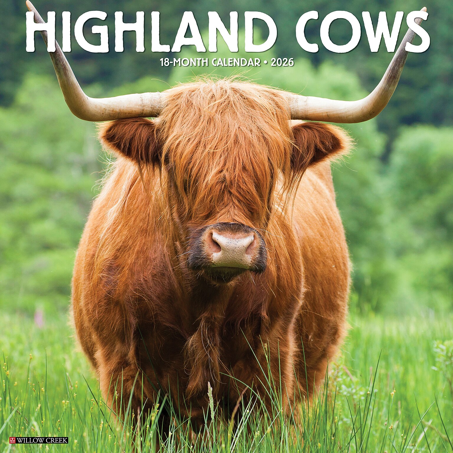 2026 Willow Creek Highland Cows 12 x 12 Monthly Wall Calendar (51474X)