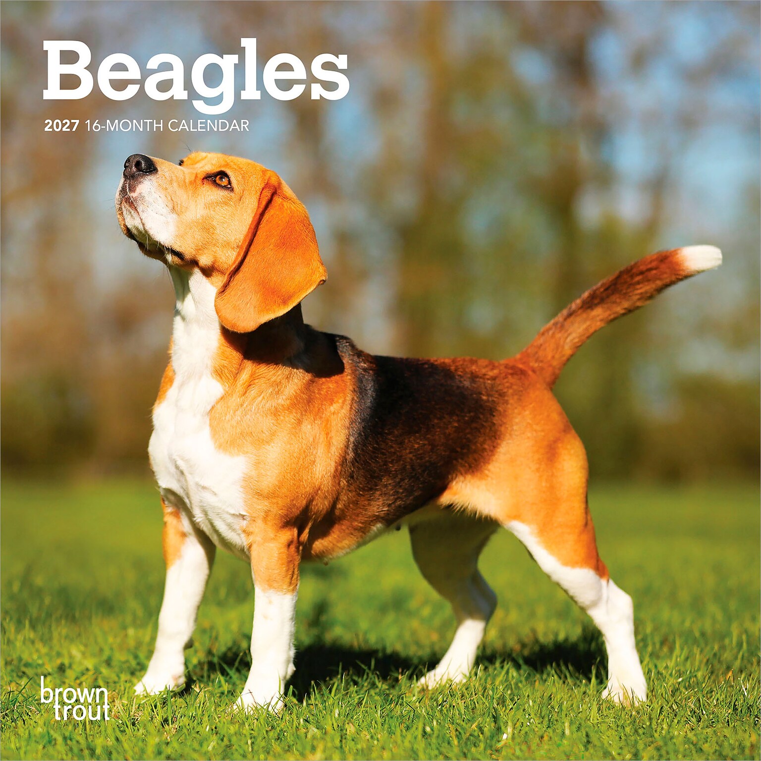 2027 BrownTrout Beagles 7 x 7 Monthly Wall Calendar, Assorted Colors (9798330709885)