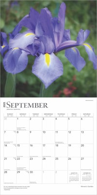 2025 BrownTrout Monet's Garden 12" x 12" Monthly Wall Calendar (9781975477431)