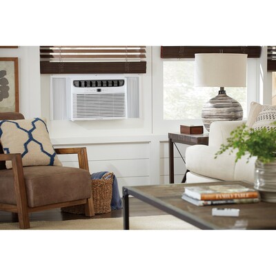 Frigidaire 115-Volt 10,000 BTU Smart Window-Mounted Air Conditioner with Remote, WiFi Enabled, White (FHWW103WB1)