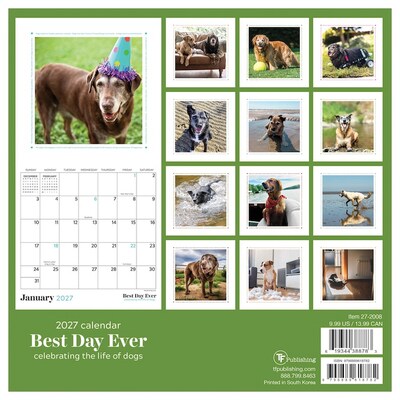 2027 TF Publishing Best Day Ever: Dogs 7" x 7" Monthly Wall Calendar, Multicolored (27-2008)