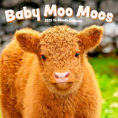 2025 BrownTrout Baby Moo Moos 12 x 12 Monthly Wall Calendar (9781975476588)