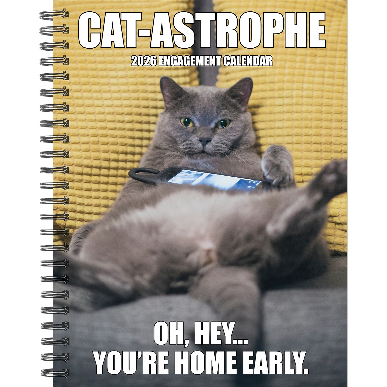 2026 Willow Creek Cat-astrophe 6.5 x 8.5 Daily & Monthly Personal Organizer (54598)
