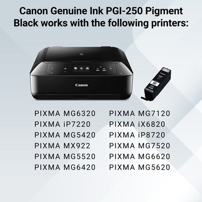 Canon 250 Black Standard Yield Ink Cartridge (6497B001)