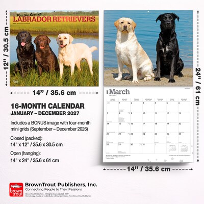 2027 BrownTrout For the Love of Labrador Retrievers 14" x 12" Monthly Wall Calendar, Assorted Colors (9798330714681)