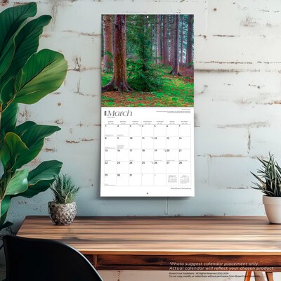 2026 BrownTrout Pennsylvania Wild & Scenic 12" x 12" Monthly Wall Calendar (9798330705115)