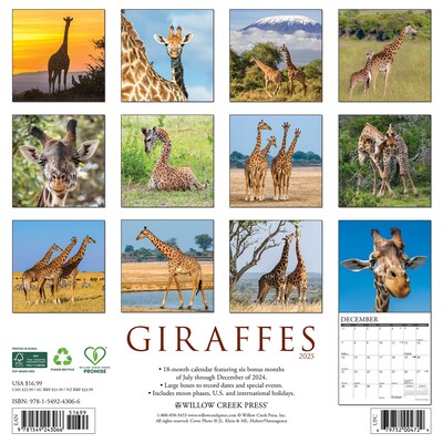 2025 Willow Creek Giraffes 12 x 12 Monthly Wall Calendar (43066)