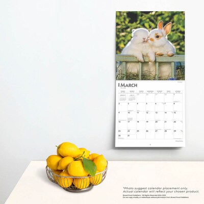 2025 BrownTrout Honey Bunny 12" x 12" Monthly Wall Calendar (9781975474911)