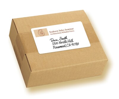 Avery Laser/Inkjet Multipurpose Labels, 2 x 4, White, 100 Labels/Pack (5444)