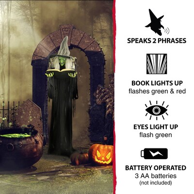 Haunted Hill Farm Life-Size Poseable Witch with Spell Book (HHWITCH-9FLS)