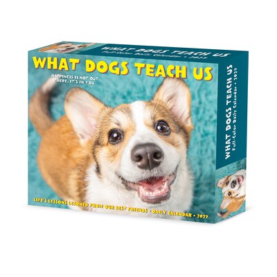 2027 Willow Creek What Dogs Teach Us 5.4 x 6.2 Day-to-Day Calendar (63835)