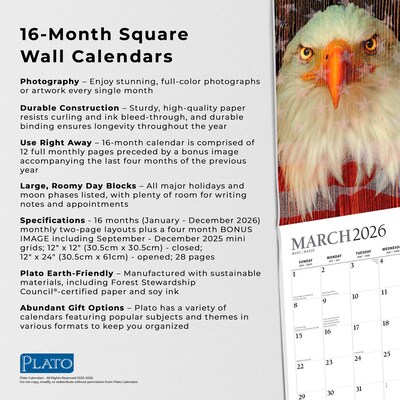 2026 Plato America's Flag 12" x 12" Monthly Wall Calendar (9798330706624)